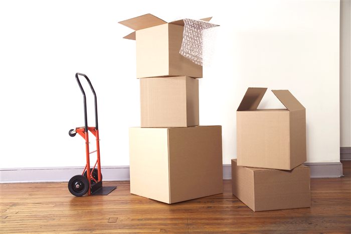 Procurement Services