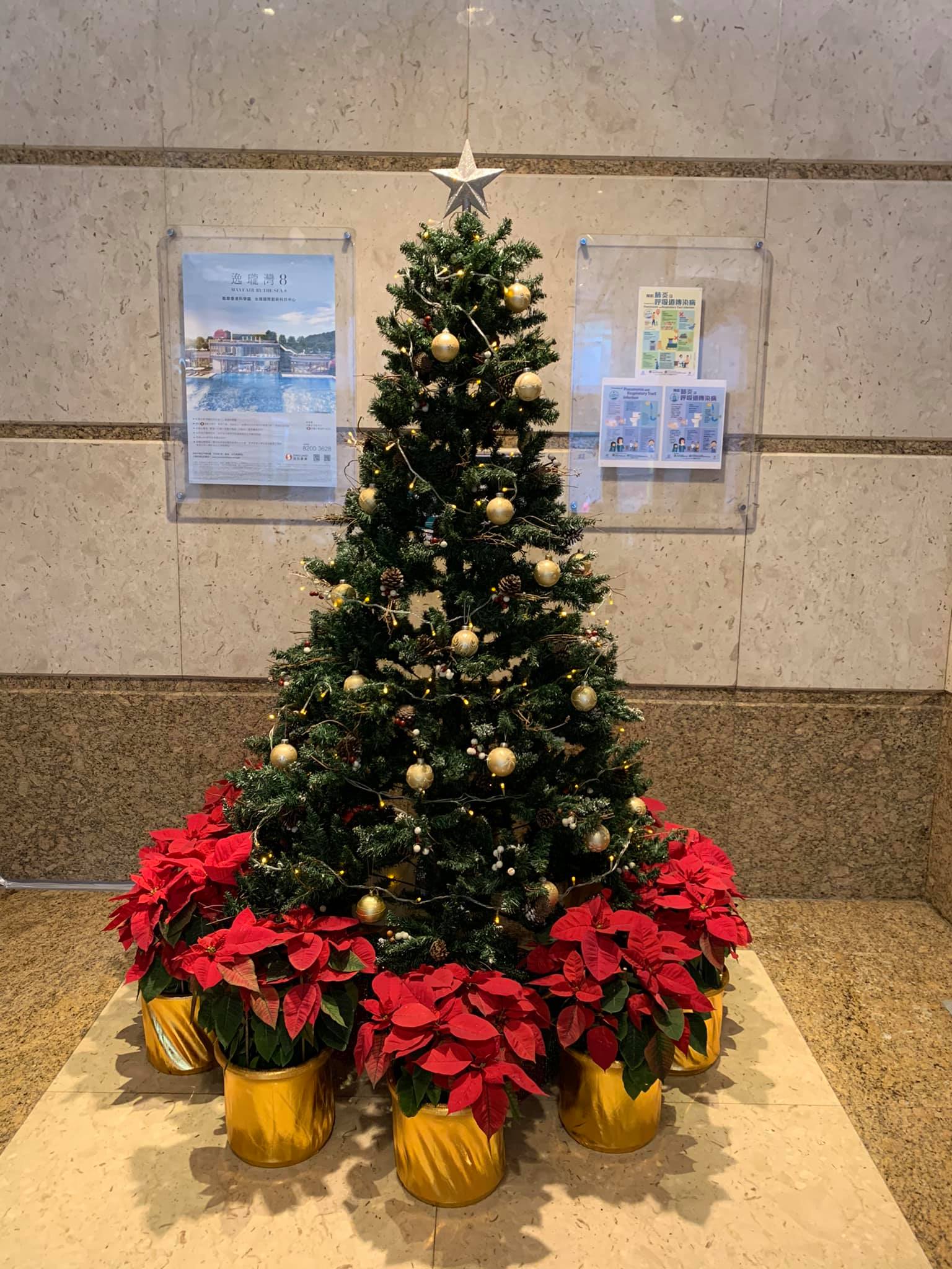Seasonal Decorations
